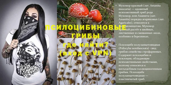 альфа пвп Новодвинск