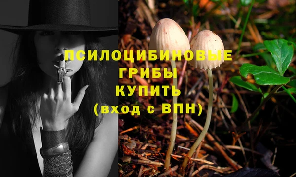 мяу мяу мука Арсеньев