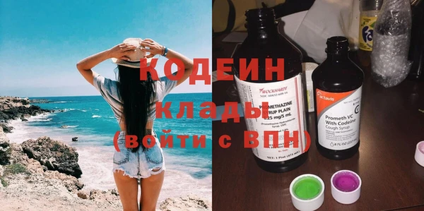 прущие грибы Аркадак