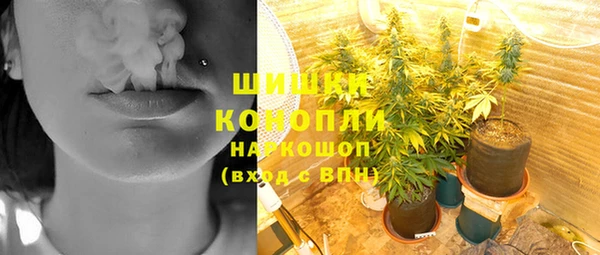 ГАЛЛЮЦИНОГЕННЫЕ ГРИБЫ Балабаново