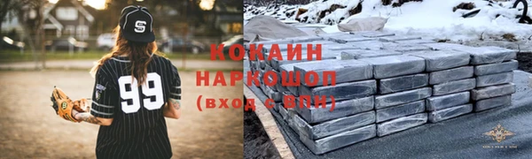 прущие грибы Аркадак