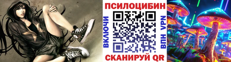 цена наркотик  Белая Холуница  ссылка на мегу ссылка  Псилоцибиновые грибы GOLDEN TEACHER 